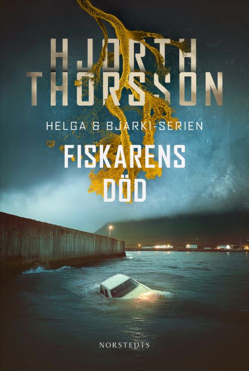 Book cover by Bjarni Thorsson