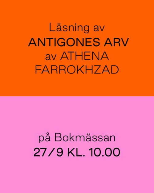 extra-img-1