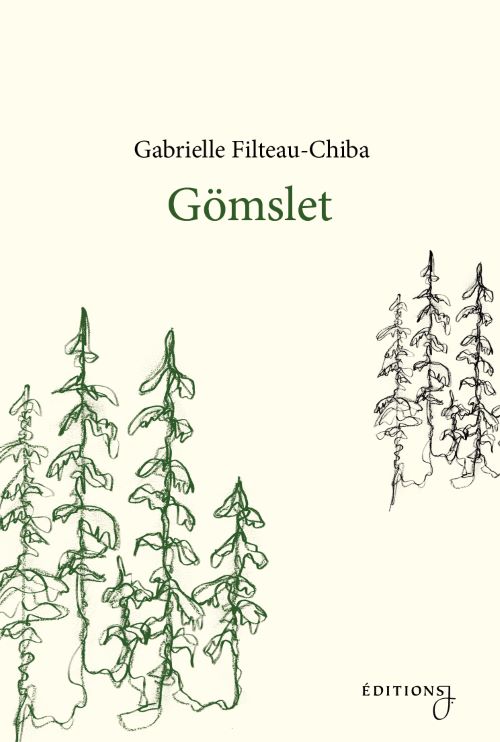 Book cover by Gabrielle Filteau-Chiba