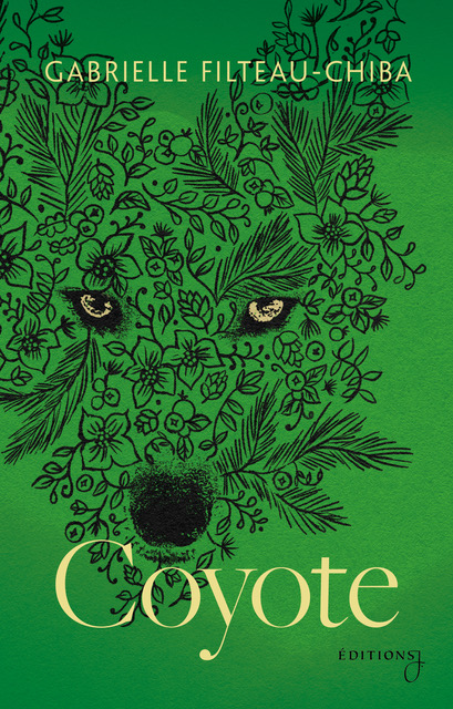 Book cover by Gabrielle Filteau-Chiba