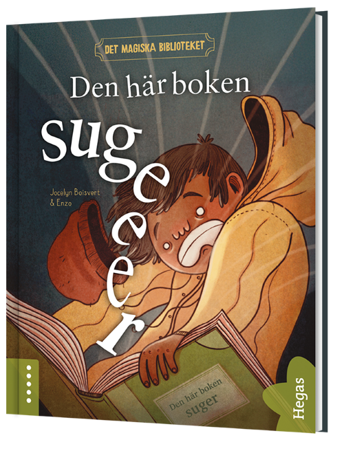 Book cover by Jocelyn Boisvert